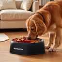 Gardner Pet Adjustable Feeder Bowl for Medium/Large Dogs 9.85'' L, Suction Base, Detachable Platform Insert, Freeze-Friendly, BPA-Free