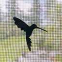 Retractable Screen Door Decals - 5 per Package - Keep Children Safe - Alert Birds, Dogs, Kids - Warn, Protect, Window Safety - Hummingbirds (Black)