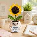 5 x Positive Sunflower Doll Crochet with Card A Little Sun for You, with Big Love Inside Cute Encouragement for Women Men, Coworker, Best Friend, Teacher Birthday, Christmas Thank You Gift