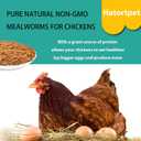 Dried Mealworms 10LB Pure Natural Non-GMO Mealworms for Chickens High Protein Chickens Feed Meal Worms for Laying Hens Wild Birds