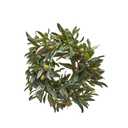 Spring Wreaths with Olives for Front Door Outside Boxwood Wreaths for Front Door RealisticFront Door Wreath Spring Door Wreath Green Wreath for Spring Farmhouse Porch Wall Wedding Room Home Decor