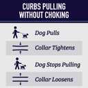 Leash Boss Martingale Collar for Dogs - Steel Chain | Reflective Nylon Dog Collar for Large Dogs, Medium and Small Dogs | No Pull Pet Training Collar Small (Medium-Large (16-19" Neck x 1" Wide), Purple/Pink - Space)