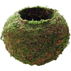 Moss Ball Flower Pot Natural Planter Bonsai Plant Holder Bird Nest for DIY Gardening Home Table Decoration - 9cm