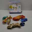 Learning Resources Giant Inflatable Solar System - Grades K+ Solar System Demonstration Tool, Solar System Model, Inflatable Planets for Classroom (Large)