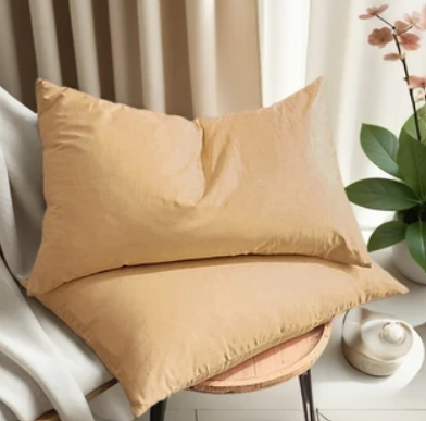 baisihan Down Feathers Pillows Standard Size Set of 2 Hotel Collection Bed Pillows | Feather-Proof 1000+ Clean | Naturally Resilient Pure | Pillows for Side, Back & Stomach Sleepers, 20"x36" 2 Pack