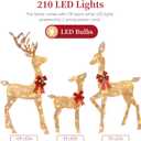 3D Gold Christmas Deer Family Set, 210 LEDs, 26 x 11 x 54 inches