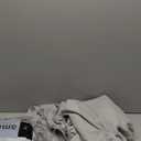 Queen Size 4 Piece Sheet Set - Comfy Breathable & Cooling Bed Sheets Set - Hotel Luxury Bedding for Women, Men, Kids, Teens, Boys & Girls - Deep Pockets, Soft and Wrinkle Free - Oeko-Tex - Light Grey