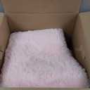 Shag Area Rugs for Bedroom Living Room,4X6 Ultra Soft Fluffy Area Rugs for Dorm, Indoor Carpet Nursery Rugs for Kids Girls Room Home Decor, Pink