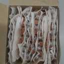 25G-1 in (25MM) Luer Lock Industrial Dispensing Accessories Supplies, Pack of 100, Easy Glide Individually Packaged