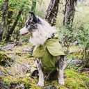 Dog Raincoat Green 2X-Large