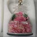 Gifts for Women Preserved Rose Forever Flower in Glass Angel Figurines Fresh Flowers for Delivery Prime Mothers Day Birthday Gifts for Mom Real Pink Roses for Grandma Sister Wife Her from Daughter