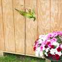 Sunset Vista Designs Nature in Motion Spinner Garden Stake, 45-Inch, Green Hummingbird