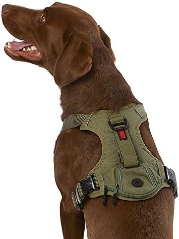 KONG Ultra Durable Waste Bag Harness (Medium, Green)