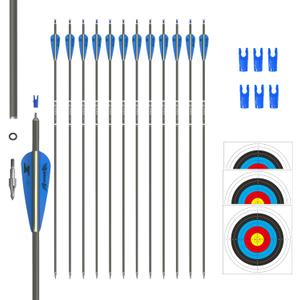 31inch Carbon Arrow Archery Targeting Practice Hunting Arrows for Compound & Recurve Bow with Removable Tips(Pack of 12) (Blue White)