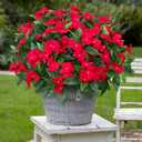5 Pcs Artificial Flowers for Outdoors Silk Impatiens Flowers Bouquet Decorations Fake Faux Plants UV Resistant for Spring Summer Garden Patio Porch Window Box Balcony Planters Home, Red