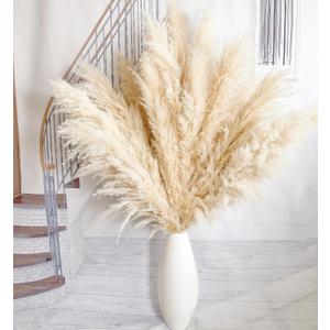 10pcs 40'' Pampas Grass Tall Decor - Pompas Floral, Tall Pampas Grass for Floor Vases, Living Room Floor, Floor Plants, Plumas para, and Grass Wall Decor (10PCS-Nature-40")