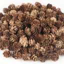 Jangostor 120 PCS Pine Cones Decorations, Natural Pine Cones Bulk - Mini Pine Cones Christmas Pine Cones for Table Christmas Tree Crafts Gifts Thanksgiving Fall and Xmas Home Decor