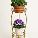 Kavlium Plant Stand Indoor Outdoor，Tall Gold Metal Rustproof Stable Plant Stands，2 Tier 27.1 inch Multiple Plant Rack Holder Rack Flower Pot Stand Heavy Duty Plant Shelf (Gold)