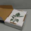 Drsoum Botanical Canvas Framed Wall Art Watercolor Green Leaf Tropical Plant Art Prints Boho Decor for Bedroom Bathroom Kitchen Home Office Decorations 8"x 10"x 4pcs