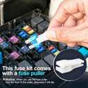 JOREST 300Pcs Car Fuse Assortment Kit, 160 Mini Blade Fuses Automotive + 90 Standard Auto Fuses + 50 Micro + Puller Replacement for RV Camper Boat Truck (2Amp 3A 5A 7.5A 10A 15A 20A 25A 30A 35A 40A)