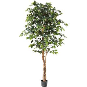 Nearly Natural 6ft Triple Trunk Artificial Ficus Tree with Natural Wood Trunks, Fake Tree for Indoor Home Dcor, Faux Ficus Tree with Black Nursery Pot
