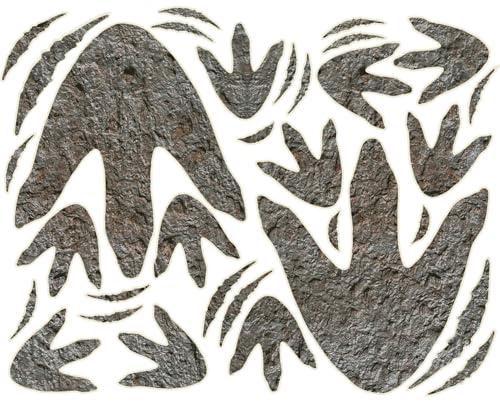 150 Pcs Dinosaur Decor Dinosaur Footprints Wall Decals, Peel and Stick Dinosaur Footprint Stickers, Realistic Dinosaur Footprint Wall Stickers Suitable for Baby Room Bedroom Decoration (Grey 150 Pcs)