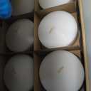 48 Pack White Floating Candles 3 inch Unscented Floating Candles for Centerpieces-10 Hours Long Burn Time-3” Floating Candle Bulk for Wedding Cylinder Vases