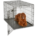 MidWest Homes for Pets 42-Inch iCrate for Large Breeds, 71-90 lbs, Single Door Folding Dog Crate with Divider Panel, Leak-Proof Tray & Secure Latch, Portable, Durable & Easy to Assemble