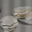 20PCS Scallop Shells Crafts 4''-5'' Large Beach Natural Scallop Shells, for Baking Shells, Crafts DIY Painting Beaching Wedding Decoration (20pc9-10)