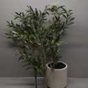 LOMANTO Artificial Olive Trees, 5 ft Tall Fake Olive Trees for Indoor, Faux Olive Silk Tree, Large Olive Plants with White Planter for Home Decor and Housewarming Gift, 1 Pack