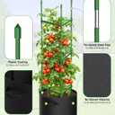 4 Pack Tomato Cages, Triangle Tomato Trellis with 17 Gallon Grow Bags, Tomato Plant Support Stakes for Garden Climbing Vegetables Flowers Fruits