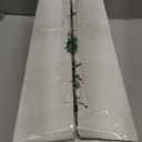 Joiedomi 24"/2FT Tabletop Mini Christmas Tree Pre lit with Warm Lights, Holly Berries, Pine Cones and Ornaments for Indoor Artificial Mini Xmas Tree Holiday Season Decorations (Gold)