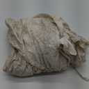 SureFit Essential Twill Ruffled Wingback Chair Slipcover, Wing Chair Cover with Cotton Printed One-Piece Design and Ruffled Skirt, Machine Washable Wingback Chair Cover, Neutral Floral