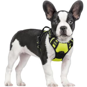 rabbitgoo Dog Harness No Pull with 2 Leash Clips, Adjustable Soft Padded, Reflective Oxford No Choke Pet Vest with Easy Control Handle for Small Dogs, Wild Lime,S
