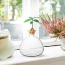 Avocado Tree Growing Kit,Avocado Seed Starter Vase,Glass Plant Pot with Avocado Stickers,Plant Indoor Grow Gardening Gifts