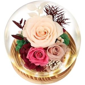Regalo Flor Preserved Roses & Fresh Flowers Bouquet – Gift for Women, Roses that Last Forever, Flowers for Delivery Prime, Champagne Roses – Birthday, Mother’s Day & Christmas