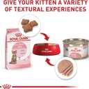 Royal Canin Feline Health Nutrition Spayed/Neutered Kitten Dry Cat Food, 2.5 lb Bag