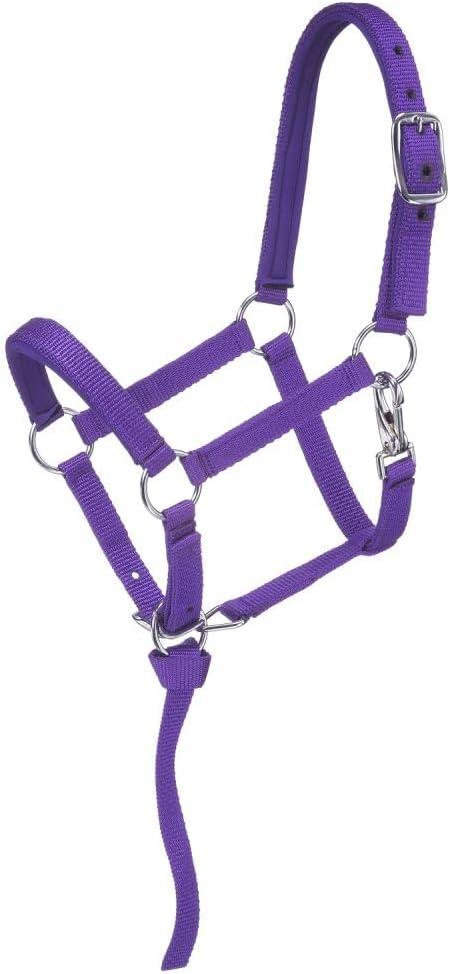 Tough 1 Nylon Padded Miniature Halter, Size Medium