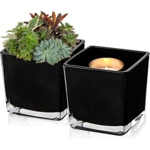 Square Glass Vase, 5" x 5" Black Cube Glass Vases Floral Planter Centerpiece for Home Party Event Wedding, Candle Holder, Set of 2