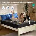 BEDLORE Twin Mattress Protector, Waterproof Noiseless Mattress Cover with Stretchable Pockets for 6-15 inches Mattress, Soft Breathable Mattress Pad Machine Washable (Dark Gray)