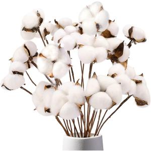 DomeStar Cotton Stems 8 Packs with 15 Bolls, Natural Dried Flowers Cotton Sprigs for Vase Fillers and Floral Arrangements - Fall Decorations and DIY Crafts