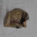 KooKaStyle Invisible Wire Hair Extensions Long Wavy Layered Synthetic Hair Extensions with Transparent Wire Adjustable Size 6 Secure Clips 4T613D#Platinum Blonde Hairpieces for Women 20 Inch