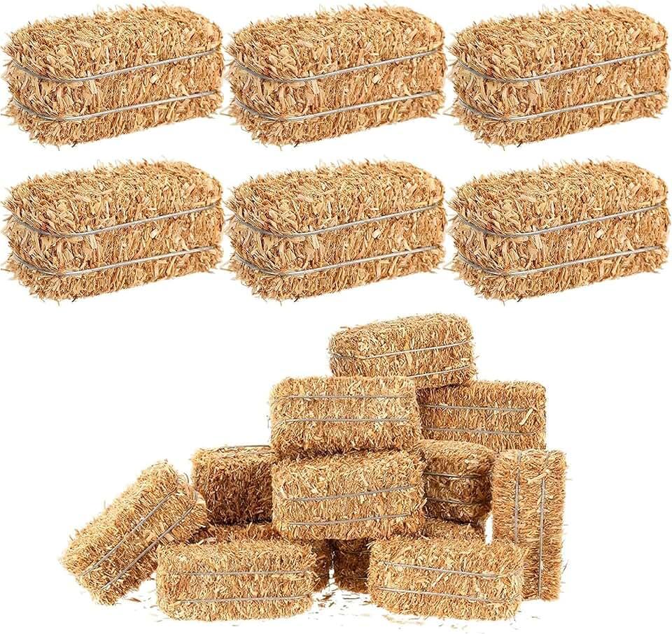 6 Pcs Mini Hay Bales Miniature Hay Bales for Decoration Small Decorative Straw for Easter Scene Rustic Wedding Western Cowboy Themed Birthday Party Decorations (2.5 x 1.2 x 1.25Inch) (6 pcs)