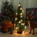 2 x 2 Pack Battery Operated Christmas Lights for Tree Decorations7ft 20 LEDs Farmhouse Truck String Lights for Indoor Christmas Tree Garland DecorWarm White