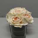 Fule Artificial Velvet Rose Flower Centerpiece Arrangement in vase for Home Wedding Decoration (Champagne)