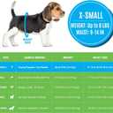 Bodhi Dog Disposable Male Dog Diapers - Super Absorbent, Leak-Proof Pee Wraps - Adjustable Fit, Comfortable Design, Advanced Moisture Control, and Wetness Indicator - Extra Small (20 Count)