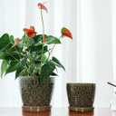 Docrin Dark Green Ceramic Planter Set - 6.6"+5.5" Indoor Outdoor Pots with Drainage Holes & Saucers for Home Office Decor
