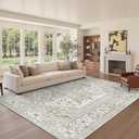 Area Rugs for Living Rooms - 6x9, Boho Non-Slip Low Pile Carpet Machine Washable Rugs for Bedroom, Farmhouse, Office, Dining Room (Beige)