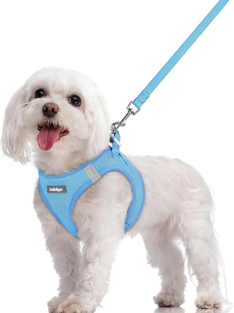 Rabbitgoo Dog Harness Small Sized and Leash Set, Step in Soft Light Puppy Vest, Breathable Mesh Pet Harness, Reflective for Safe Easy Walking, Blue, (M (Chest: 16 - 18.5"))