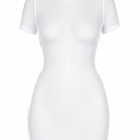Sexy Sheer Mesh Cover Up Dress for Swimwear Women Short Sleeve See Through High Split Beach Dress, Large 